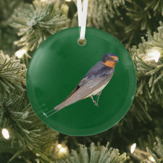 En Verre Ornement de photo d'oiseau Hirondelle de cheminée