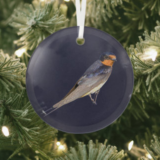 En Verre Ornement de photo d'oiseau Hirondelle de cheminée