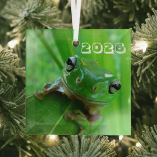 En Verre Ornement Grenouille Verte