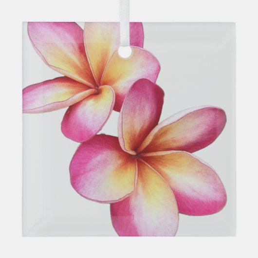 En Verre Ornement Plumeria rose (Recto)