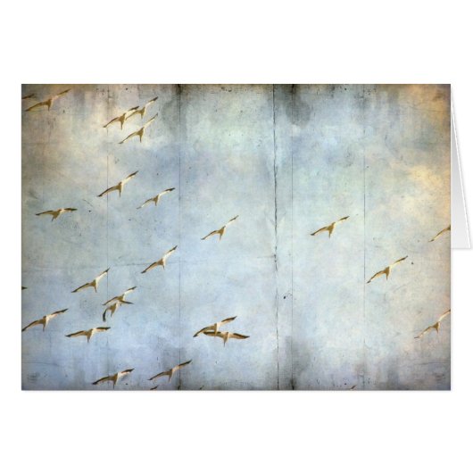 En vol (Devant horizontal)