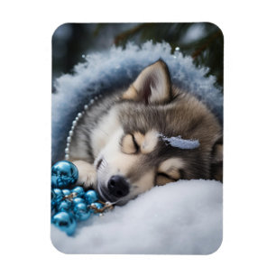 En voor een goede nacht magneet