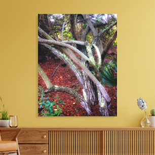 Enchanted Clearing Canvas Afdruk
