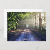 Enchanted Forest Road 2 Briefkaart (Voorkant / Achterkant)