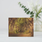 Enchanted Forest Road 4 Briefkaart (Staand voorkant)