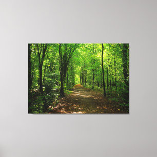 Enchanted Forest Road 5 Canvas Afdruk
