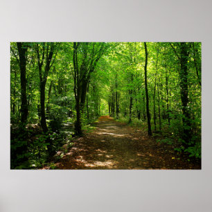 Enchanted Forest Road 5 Poster