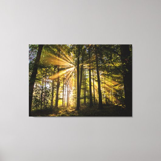 Enchanted Forest Sun Rays 1 Canvas Afdruk (Voorkant)