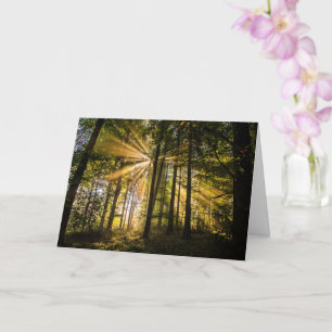 Enchanted Forest Sun Rays 1 Kaart