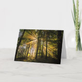 Enchanted Forest Sun Rays 1 Kaart (Voorkant)