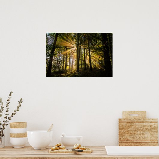 Enchanted Forest Sun Rays 1 Poster (Keuken)