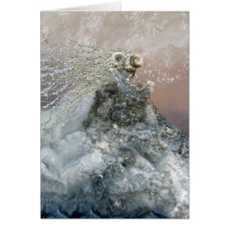 Enchanted Ice Maiden