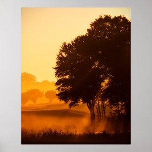 Enchanted Morning Poster