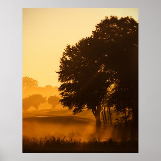 Enchanted Morning Poster (Voorkant)
