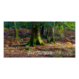 Enchanted Woodland Scene – Glossy Poster Perfect Poster