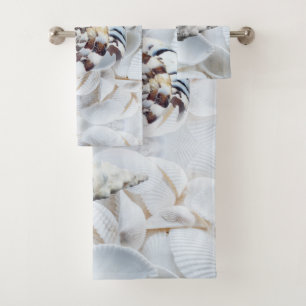 Enchanter les coquillages marins