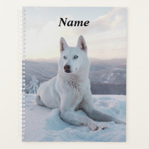 Enchanter White Husky Dog dans la neige