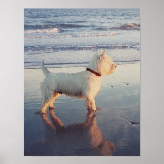 Encore ! Affiche de Westie Ball (Devant)