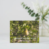 Encouragement Carte de voeux avec bébé jaune Bird (Debout devant)