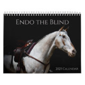 Endo Le Calendrier Blind 2023 (Protection)
