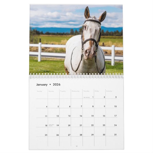 Endo Le Calendrier Blind 2023 (Jan 2026)