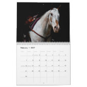 Endo Le Calendrier Blind 2023 (Feb 2027)