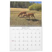 Endroits allants du calendrier 2019 de Rhodesian (Mar 2027)