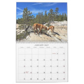 Endroits allants du calendrier 2019 de Rhodesian (Jan 2027)