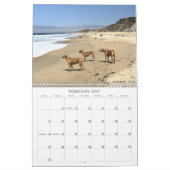 Endroits allants du calendrier 2019 de Rhodesian (Feb 2027)