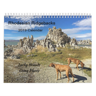 Endroits allants du calendrier 2019 de Rhodesian