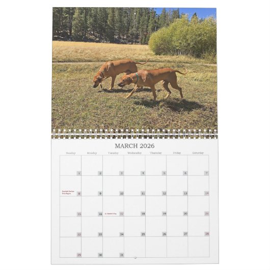 Endroits allants du calendrier 2019 de Rhodesian (Mar 2026)