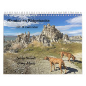 Endroits allants du calendrier 2019 de Rhodesian (Protection)
