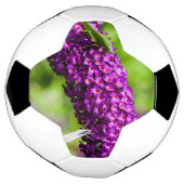 énergie katydone (Tourné)