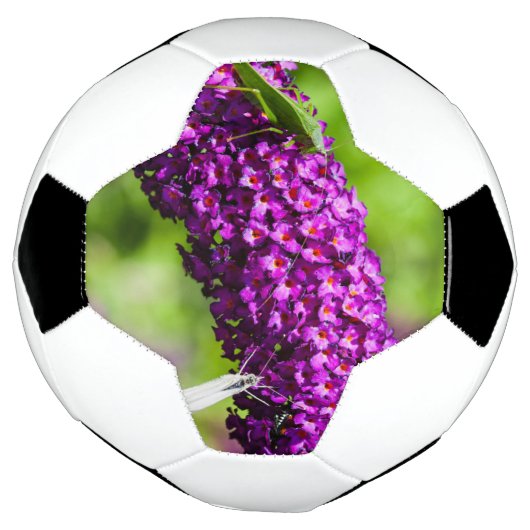 énergie katydone (Tourné)