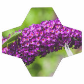 énergie katydone (Plat)