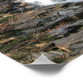 Energiebild Wasserfall Poster (Hoek)