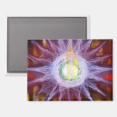 Energy of Star Magnet (Recto/Verso)