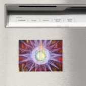 Energy of Star Magnet Magneet (Insitu (Vaatwasser))