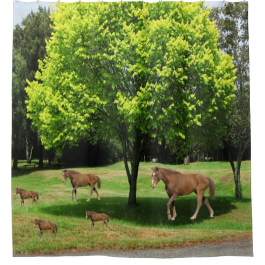 Enfants chevaux rideau de douche (Devant)