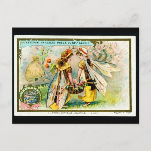 Enfants en costume d'insecte : Carte postale (Devant)