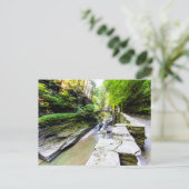 Enfield Glen, Robert H Treman State Park, NY Briefkaart (Staand voorkant)