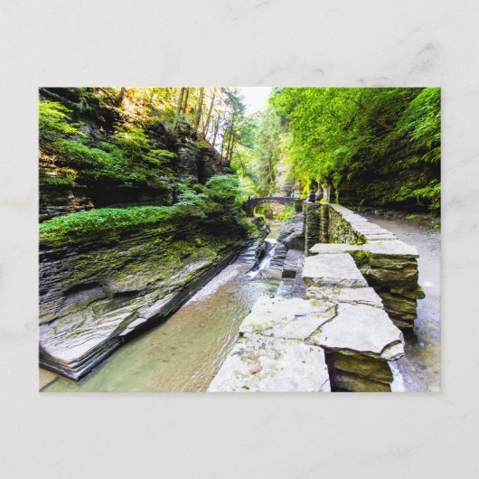 Enfield Glen, Robert H Treman State Park, NY Briefkaart (Voorkant)