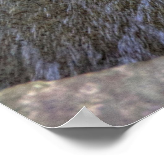 Enfield Glen, Robert H Treman State Park, NY Poster (Hoek)