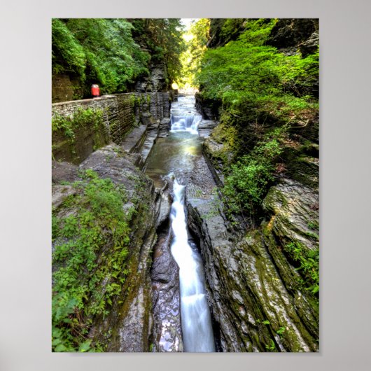 Enfield Glen, Robert H Treman State Park, NY Poster (Voorkant)