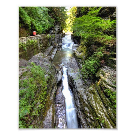 Enfield Glen, Robert Treman State Park, New York Foto Afdruk (Voorkant)