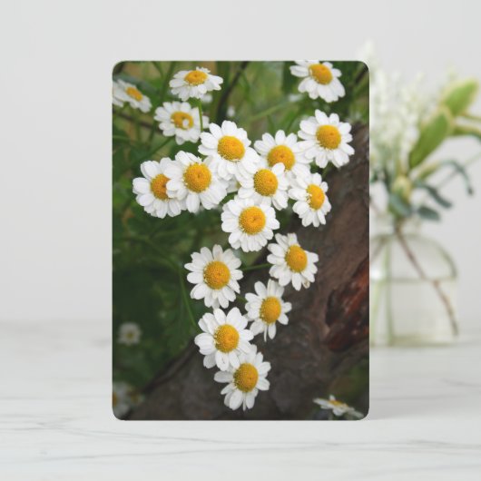 Engagement Bridal shower Invitations (Debout devant)