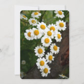 Engagement Bridal shower Invitations (Devant)