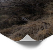 Enge Halloween. Poster (Hoek)