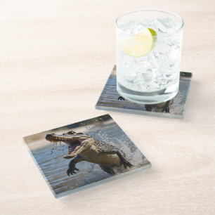 Enge kaken: Australische krokodil springt Glazen Onderzetter