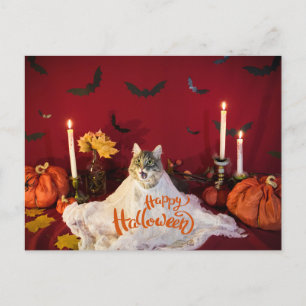 Enge kat in Grappig Halloween kostuum Feestdagenkaart